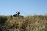 IMG_0117.JPG
