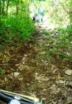 DSC08171.JPG