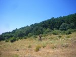 Foto13.JPG