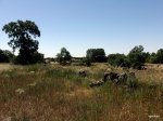CIMG0789.JPG