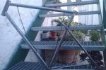 IMAG0201.jpg