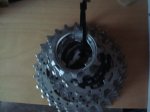 DSC02211.JPG