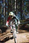 DSC_0085.JPG