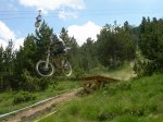 videos de vall nordÂ¡Â¡ 009.jpg