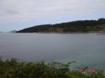 DSC04181.jpg