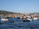 DSC04197.jpg