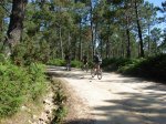 DSCN0784.jpg