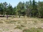 DSCN0797.jpg