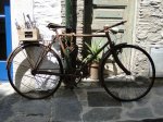 Bike ox.jpg