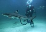 ciclismo subacuatico.jpg