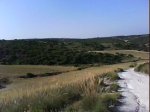 DSC00363.jpg