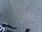 DSC00365.jpg