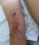 17072010066.jpg