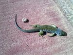 190720101715.jpg