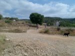 Imagen025.jpg