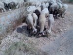 Imagen024.jpg
