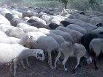 Imagen022.jpg