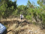 DSCF0953.jpg