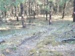 DSCF0956.jpg