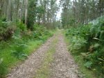 DSC01610.jpg
