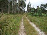 DSC01616.jpg