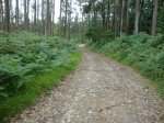 DSC01603.jpg