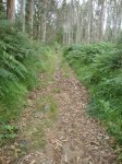 DSC01578.jpg