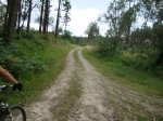 DSC01606.jpg