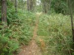 DSC01569.jpg
