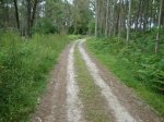 DSC01600.jpg
