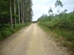 DSC01577.jpg