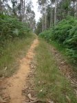 DSC01579.jpg