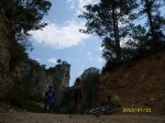 SL272992.jpg