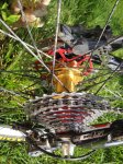DSC02858.JPG