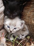 DSC05612.JPG