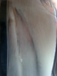 21072010575.jpg