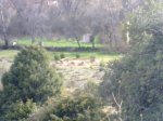 16042010464.jpg