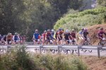 tineo_2010_6.jpg