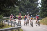 tineo_2010_9.jpg