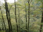 PA270647.jpg