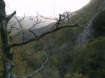 PA270648.jpg