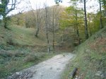 PA270653.jpg
