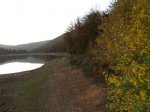 PA270683.jpg