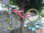 pbpic1070338.jpg