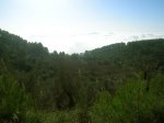 DSCN8672.jpg