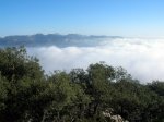 DSCN8676.jpg