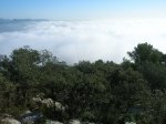 DSCN8677.jpg