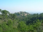 DSCN8696.jpg