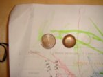 DSC01489.JPG