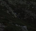 nocturna_10.JPG